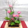 lotus-ikebana-thumbnail