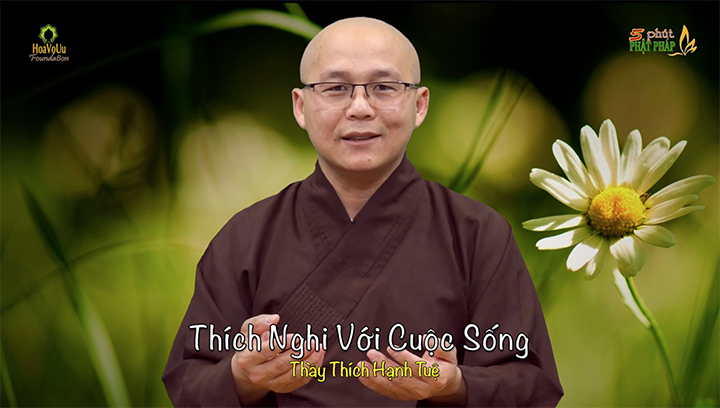 Thich Hanh Tue 253 Thich Nghi Voi Cuoc Song