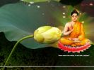 buddha-wallpaper1360-thumbnail