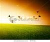 field-of-grass-and-flying-birds-thumbnail