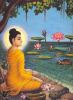 buddha16-thumbnail