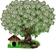 money-tree-thumbnail