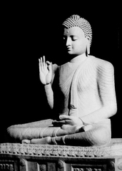 Tìm Hiểu Phật Tánh Theo Kinh Luận