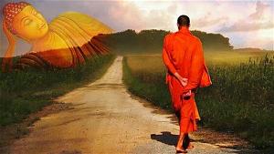 Đường về cõi Phật