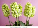 decorative-artificial-flowers-55882687-thumbnail