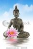 buddha-statue-20045155-thumbnail