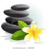 frangiapani-flower-and-spa-stones-65023936-thumbnail