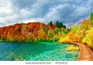 autumn-view-of-plitvicka-jezera-national-park-47234212-thumbnail