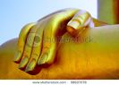 hand-of-the-buddha-thumbnail