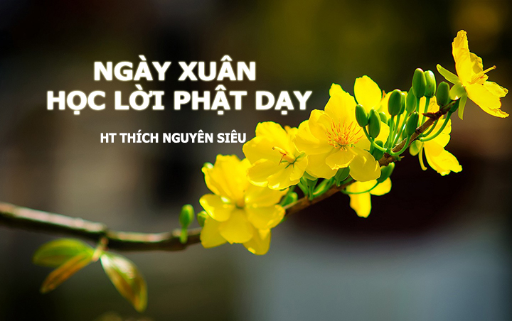 Ngay Xuan Hoc Loi Phat Day
