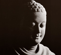 Đức Phật Là Bậc Nhất Thiết Trí