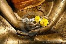 golden-buddha-statue-thumb10084285-thumbnail