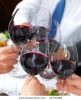 portrait-of-people-toasting-glass-of-whine-21770488-thumbnail