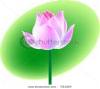 lotus-flower-vector-illustrator-artistic-drawing-thumbnail