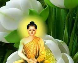 Phật Pháp Vi Diệu