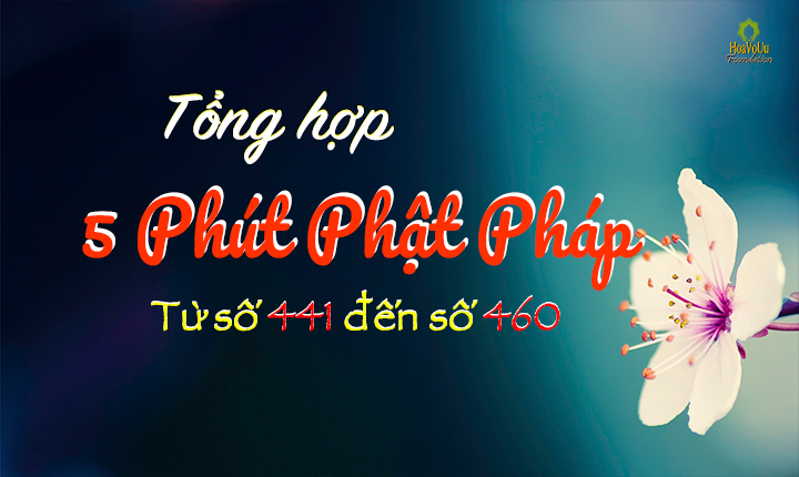 Tong Hop 5ppp 441 - 460