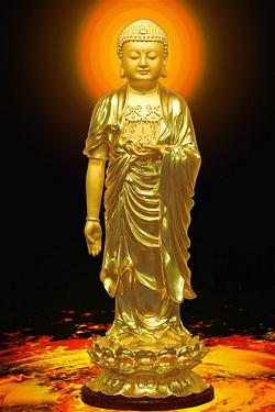 Sống Trong Bổn Nguyện Của Phật A Di Đà