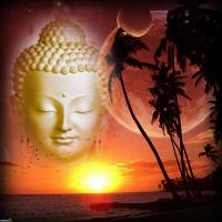 Triết Lý Hành Động Trong Đạo Phật