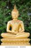 buddha-image-74945953-thumbnail