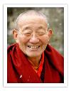 trulshik-adeu-rinpoche