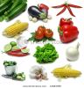 vegetable-sampler-with-clipping-paths-12883288-thumbnail