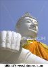 white-buddha-wat-k0022674-thumbnail