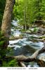 water-rushing-by-trees-in-river-rapids-in-ontario-canada-24644281-thumbnail