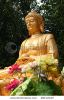 golden-buddha-48112120-thumbnail