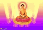 sakyamunibuddha231