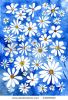 painted-floral-watercolor-card-background-camomile-summer-thumbnail
