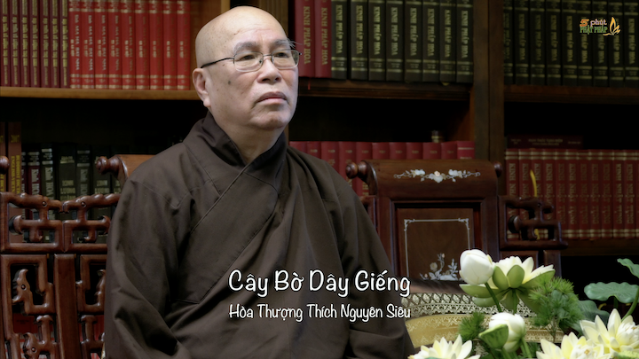 HT Nguyen Sieu 763 Cay Bo Day Gieng