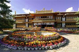 Thời Thơ Ấu Của Tôi Ở Lhasa 2