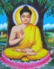 sakyamunibuddha08-thumbnail
