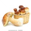 boletus-edulis-mushrooms-in-straw-basket-isolated-on-white-background-60422452-thumbnail