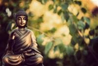 Thiền Của Phật