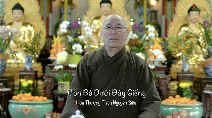 HT Nguyen Sieu 724 Con Bo Duoi Day Gieng