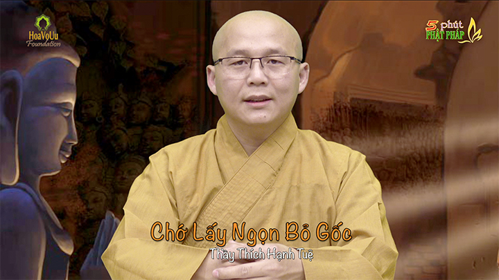 159 Cho Bo Goc Lay Ngon