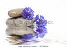 zen-balance-with-flowers-and-water-57769546-thumbnail