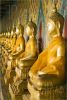 wat-arun-buddhas-364939-thumbnail