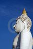 buddha-figure-thumb13865395-thumbnail