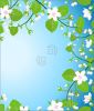 blossom-tree-1495445-thumbnail