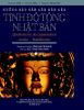 nhungbanvantdtnb-cover-2-thumbnail