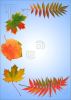 colors-autumn-606245-thumbnail