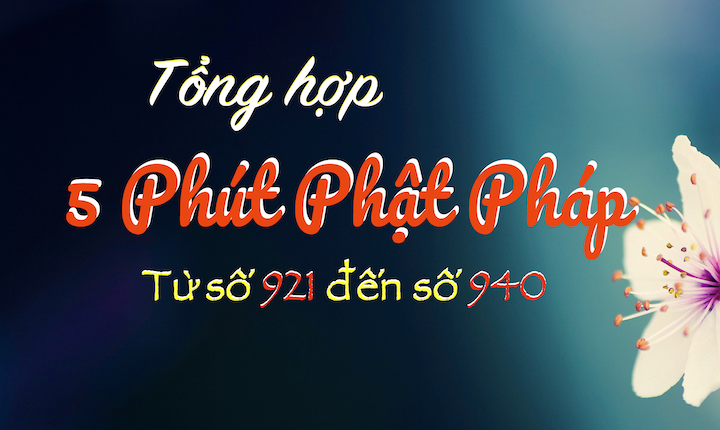 Tong Hop 5ppp 921-940
