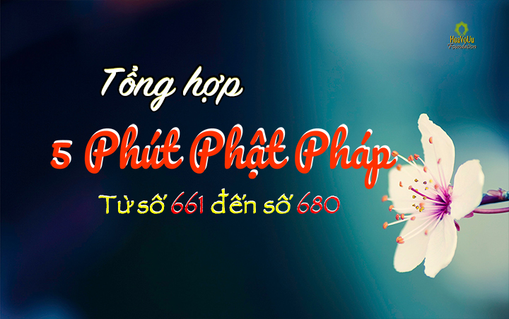 Tong Hop 5ppp 661 - 680