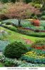 beautiful-garden-in-spring-victoria-british-columbia-canada-61085686-thumbnail