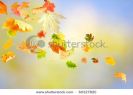 autumn-leaves-falling-and-spinning-on-natural-background-60327820-thumbnail