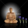 1998002-enlightened-buddha-thumbnail