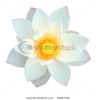 isolated-lotus-with-path-thumbnail
