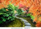 pond-and-path-of-the-japanese-garden-thumbnail